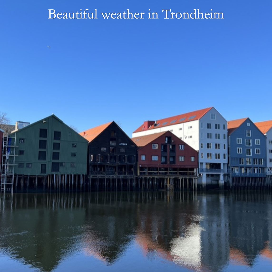 Finlay lectures in Trondheim, Norway April 2023 for the Mid-Norway meeting.