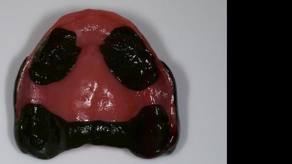 Newsletter 79 – Creating a wonderful smile and changing a life.