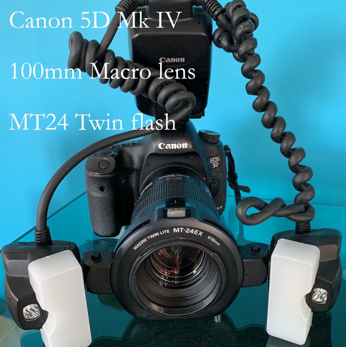 My most important piece of kit – the camera